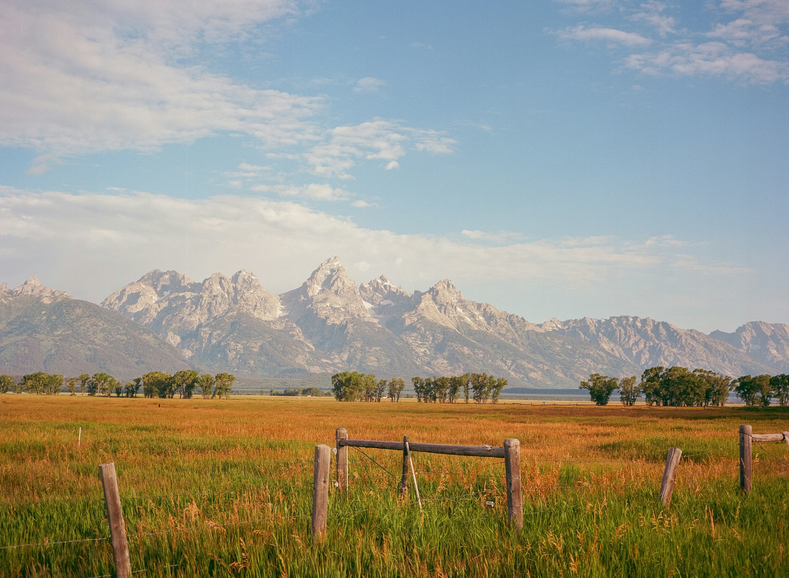 Rolling green pasture with wooden fence and the Grand Teton mountains in the background